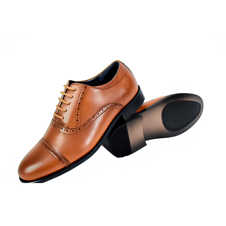 Mario D' Boro Men's Formal Elite MX 24509 Black and Brown C53