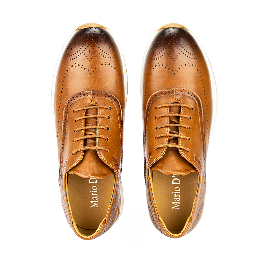 Mario D' Boro Men's Casual Sneakers Mw 23459 Black/Brown C30