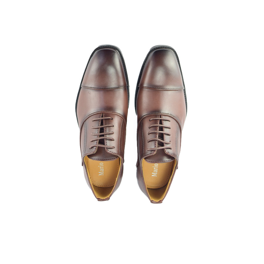 Mario D' Boro Men's Formal with Lace MX 24708 Dark Brown C50