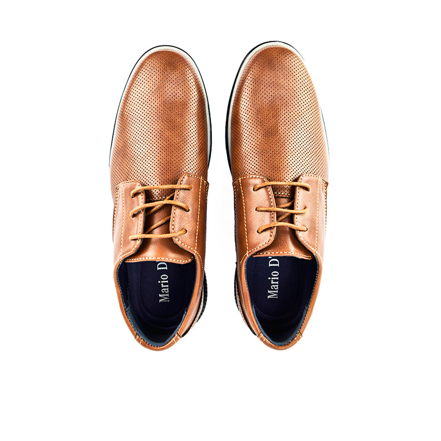 Mario D' Boro Men's Formal with Lace Mx 24238 Black/Brown C47