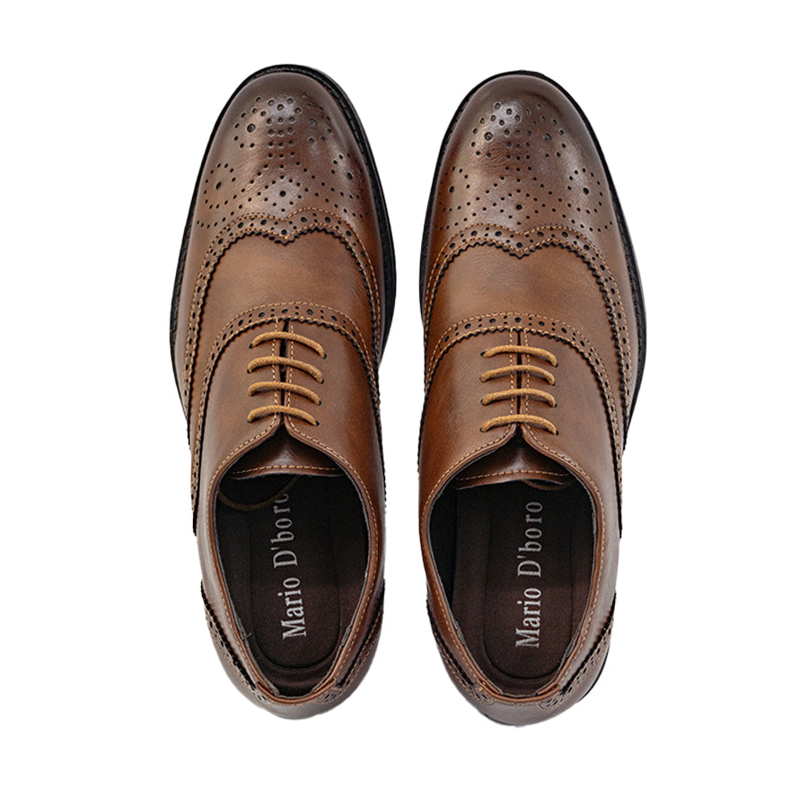Mario D' boro Men's Formal with Lace MY 26660 - Black /Dark Brown C88