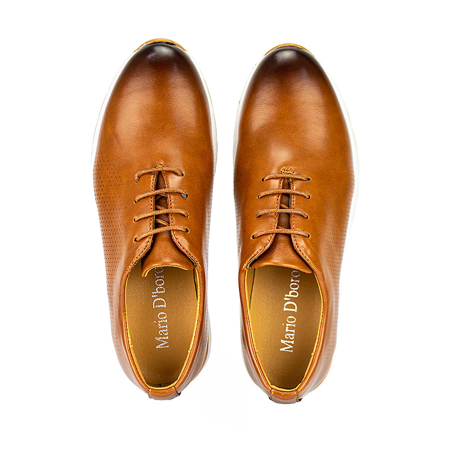 Mario D' Boro Men's Casual Sneakers  Mw 23458 Black/Brown C30