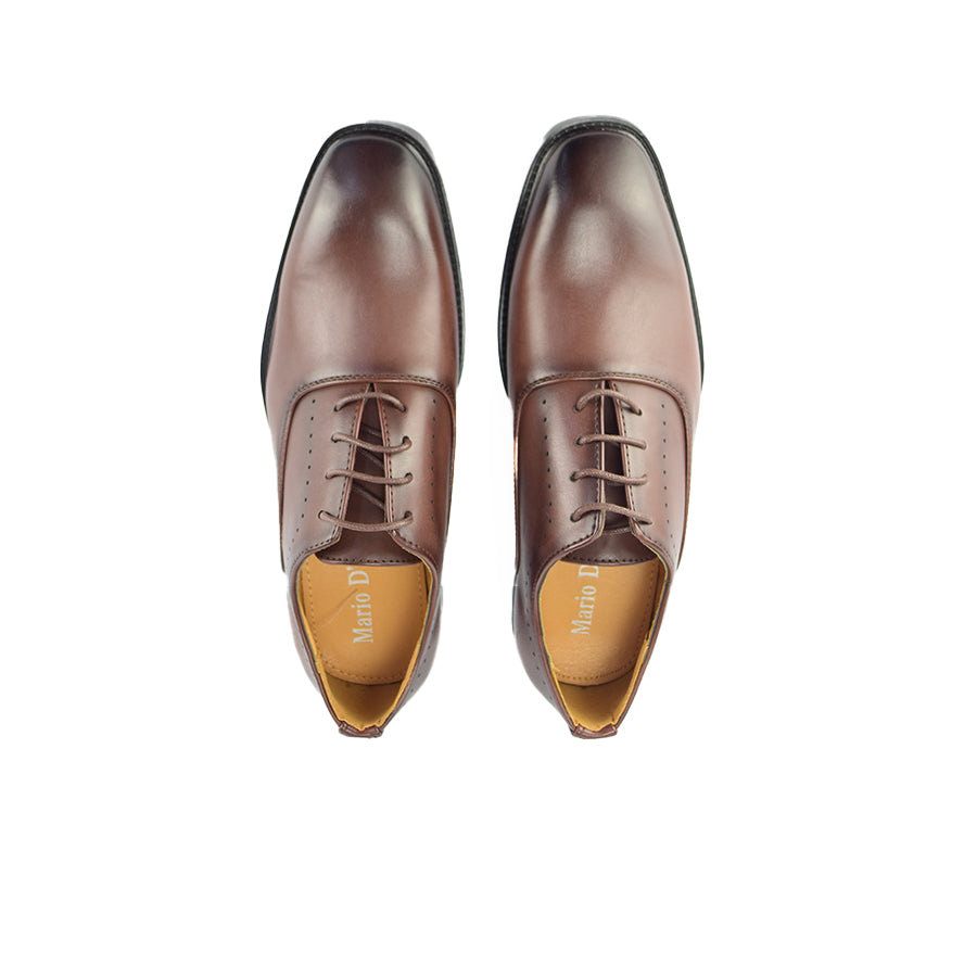 Mario D' Boro Men's Formal with Lace MX 24706 Dark Brown C50