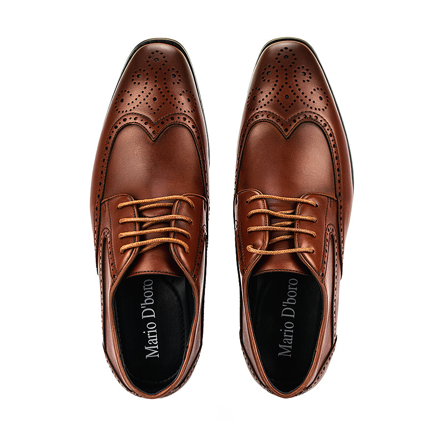 Mario D' Boro Men's Formal Elite Mw 24588 Black/Dark Brown C45