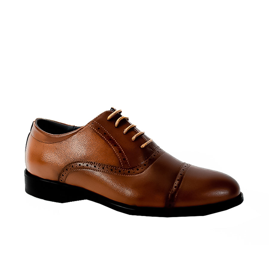 Mario D' Boro Men's Formal Elite MX 24509 Black and Brown C53