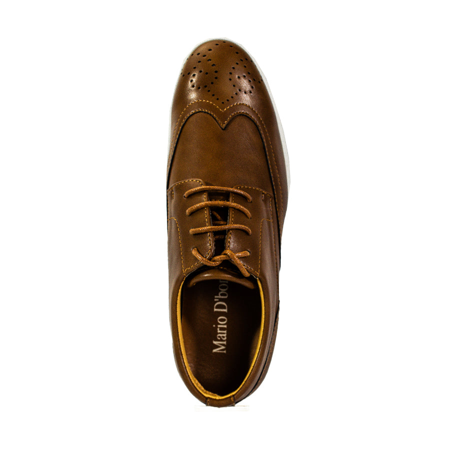 Mario D' Boro Men's Formal Oxford MX 24159 Brown/Dark Brown C62