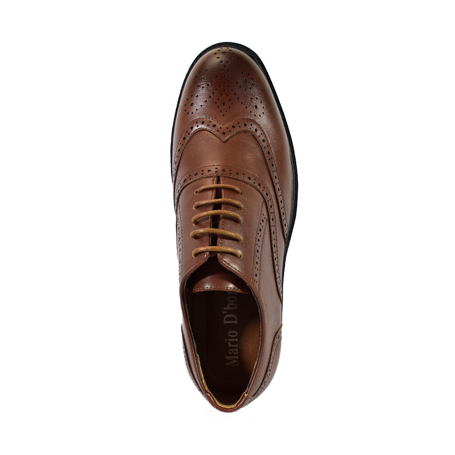 Mario D' Boro Men's Formal with Lace MX 25420 Black/Brown C57